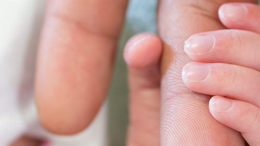 Infant holding adult hand