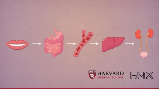 HMX Pharmacology Course Image