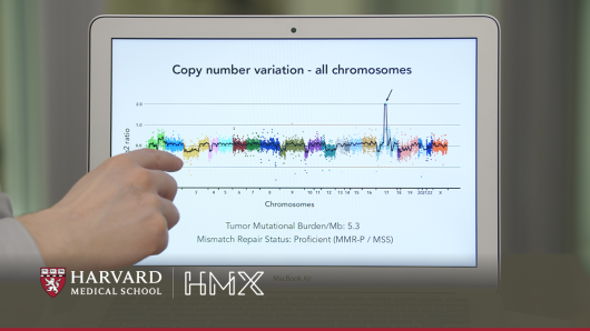 A graph of copy number variation, showing an amplification of chromosome 17.