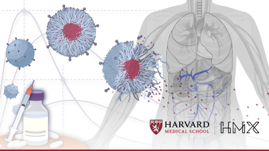 Image of body and drug delivery system