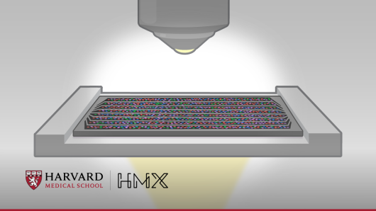 Next-generation sequencing technology illustration